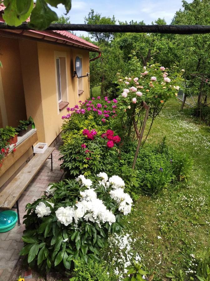 Apartament W Domu Na Wsi Томашув-Любельский Экстерьер фото