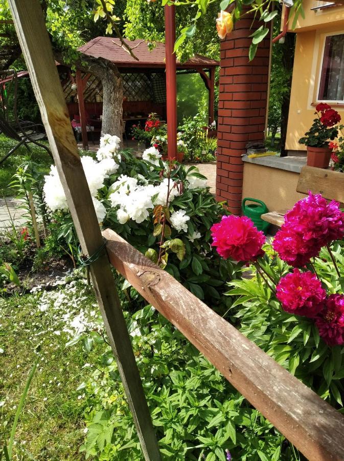 Apartament W Domu Na Wsi Томашув-Любельский Экстерьер фото