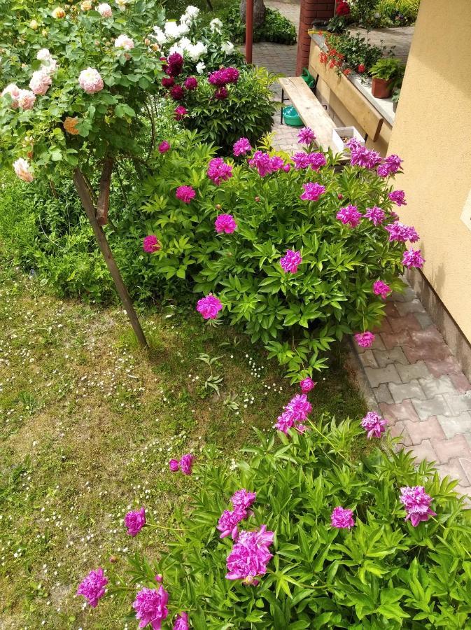 Apartament W Domu Na Wsi Томашув-Любельский Экстерьер фото